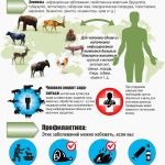Памятка населению о зоонозных заболеваниях